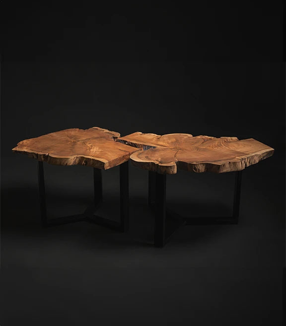 Acacia Wood Nested Trunk Tables – Organic Shape